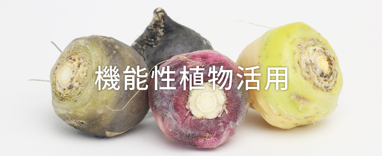 機能性植物活用